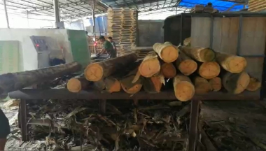 圓木多片鋸加工效率下降？多片鋸開機(jī)檢查3個(gè)地方