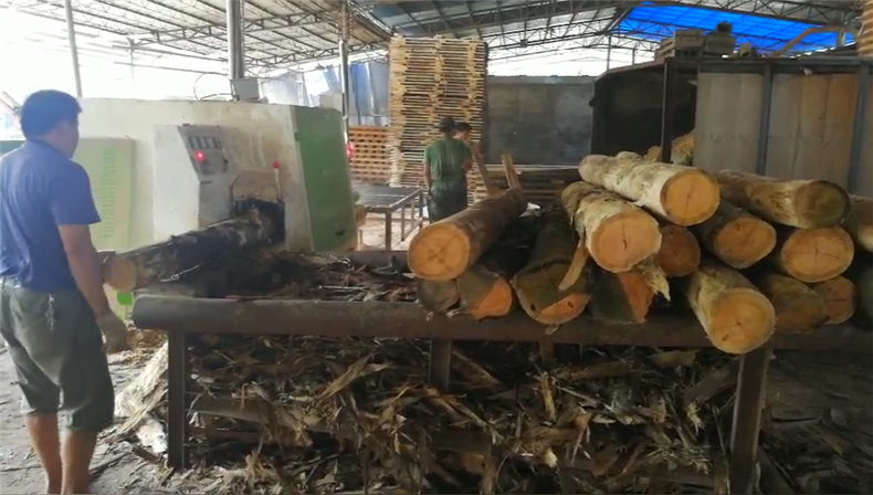圓木多片鋸合金鋸片基體的資料和多片鋸廠家制造鋸片的工藝決議了鋸片的厚度，厚度過薄，圓木多片鋸鋸片工作時容易晃動，影響板材鋸切的效果。